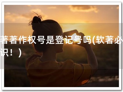 软著著作权号是登记号吗(软著必备知识！)