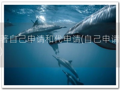 软著自己申请和代申请(自己申请软著)