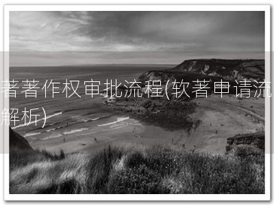 软著著作权审批流程(软著申请流程，解析)