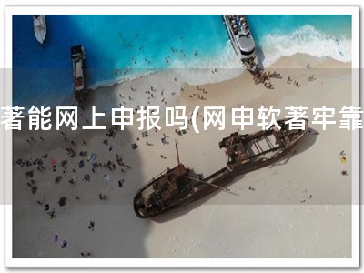 软著能网上申报吗(网申软著牢靠！)