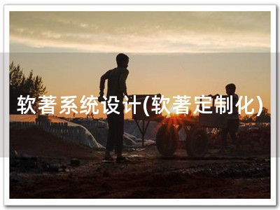 软著系统设计(软著定制化)