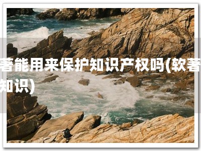 软著能用来保护知识产权吗(软著保护知识)