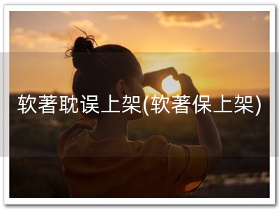 软著耽误上架(软著保上架)