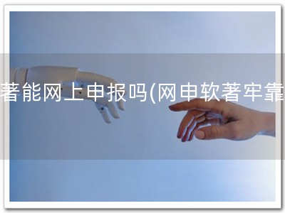 软著能网上申报吗(网申软著牢靠！)