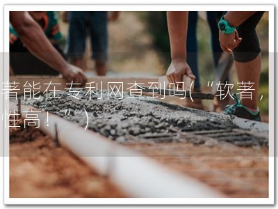 软著能在专利网查到吗(“软著，重要性高！”)
