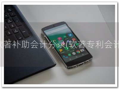 软著补助会计分录(软著专利会计)