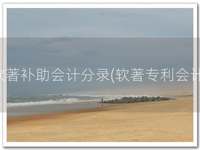 软著补助会计分录(软著专利会计)