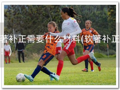软著补正需要什么材料(软著补正必备！)