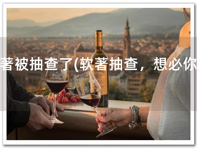 软著被抽查了(软著抽查，想必你懂)