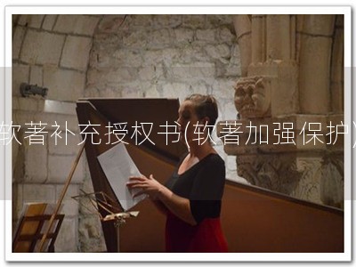 软著补充授权书(软著加强保护)