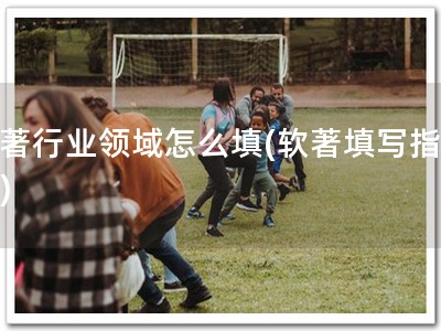 软著行业领域怎么填(软著填写指南！)