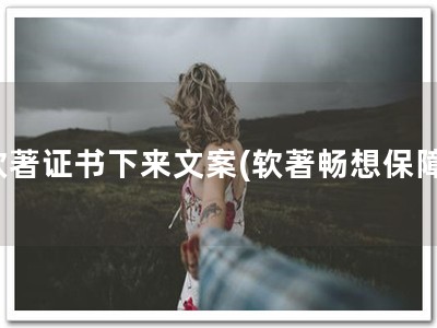软著证书下来文案(软著畅想保障)