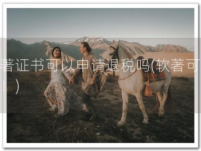 软著证书可以申请退税吗(软著可退税！)