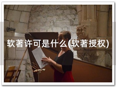 软著许可是什么(软著授权)