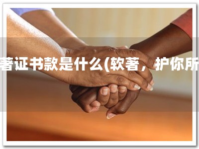 软著证书款是什么(软著，护你所爱)