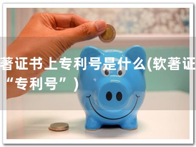 软著证书上专利号是什么(软著证书：“专利号”)