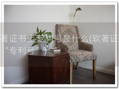 软著证书上专利号是什么(软著证书：“专利号”)
