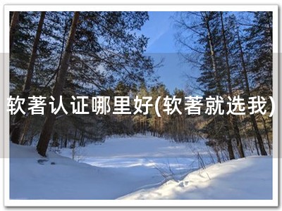 软著认证哪里好(软著就选我)