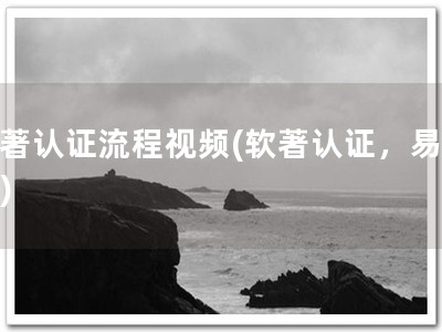 软著认证流程视频(软著认证，易上手)