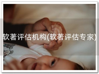 软著评估机构(软著评估专家)