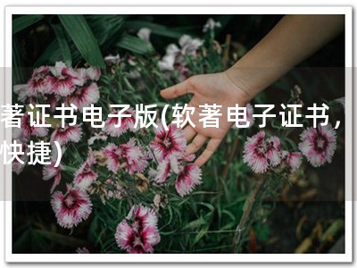 软著证书电子版(软著电子证书，方便快捷)