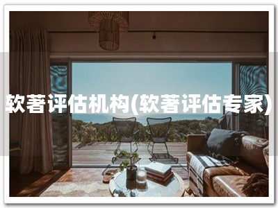 软著评估机构(软著评估专家)
