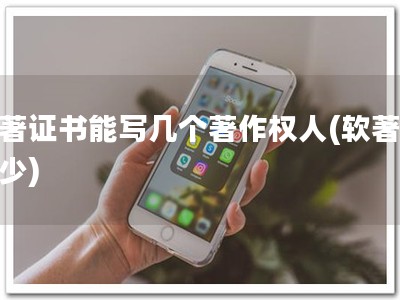 软著证书能写几个著作权人(软著多著少)