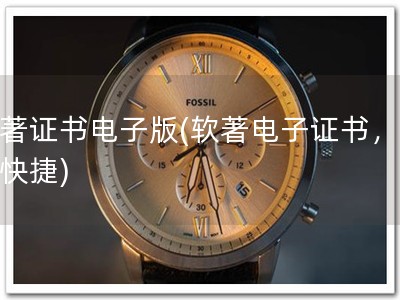 软著证书电子版(软著电子证书，方便快捷)