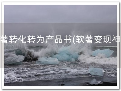 软著转化转为产品书(软著变现神器)