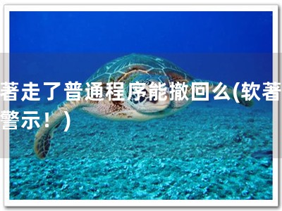 软著走了普通程序能撤回么(软著撤回警示！)