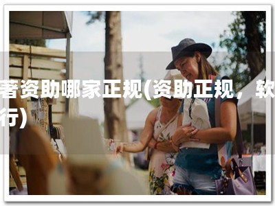 软著资助哪家正规(资助正规，软著先行)