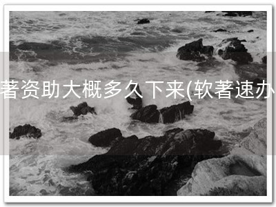 软著资助大概多久下来(软著速办！)