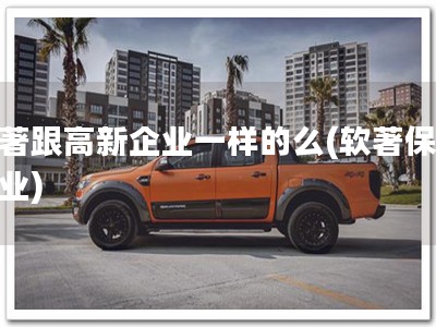 软著跟高新企业一样的么(软著保障企业)