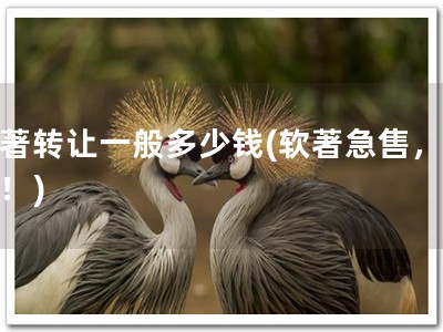 软著转让一般多少钱(软著急售，优惠！)