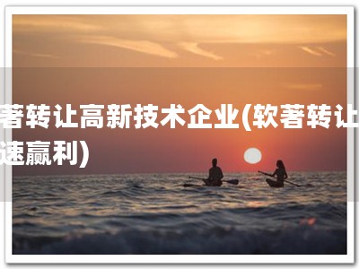 软著转让高新技术企业(软著转让，快速赢利)