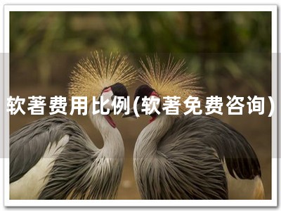 软著费用比例(软著免费咨询)