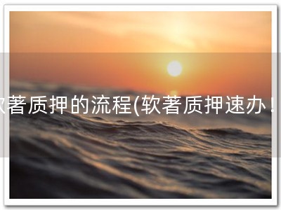 软著质押的流程(软著质押速办！)