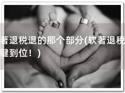 软著退税退的那个部分(软著退税，一键到位！)