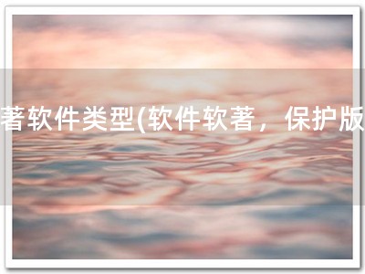 软著软件类型(软件软著，保护版权)