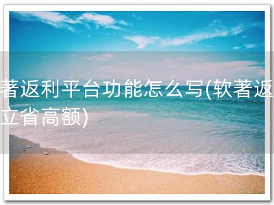 软著返利平台功能怎么写(软著返现，立省高额)