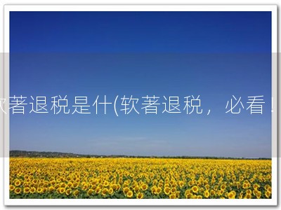 软著退税是什(软著退税，必看！)