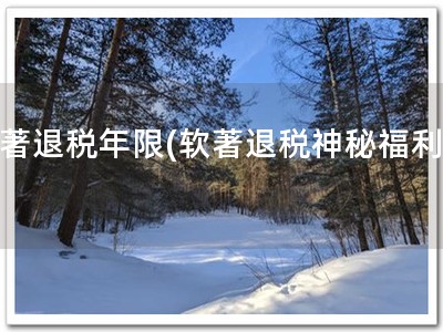 软著退税年限(软著退税神秘福利！)