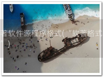 软著软件源程序格式(“软著格式必备”)