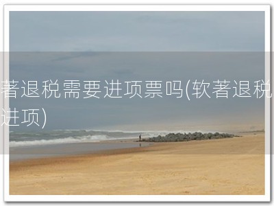 软著退税需要进项票吗(软著退税，必进项)