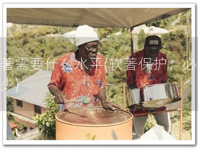 软著需要什么水平(软著保护，必不可少)
