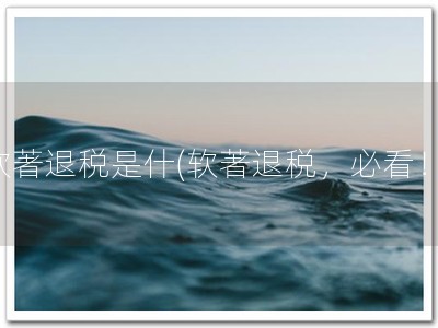 软著退税是什(软著退税，必看！)