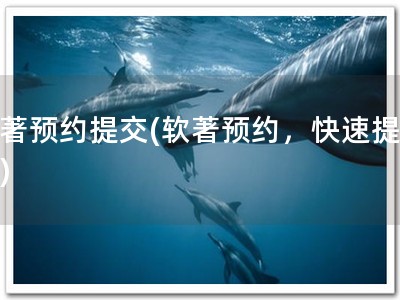 软著预约提交(软著预约，快速提交！)