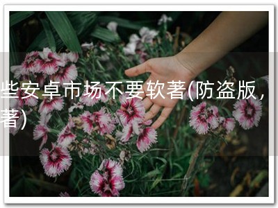 那些安卓市场不要软著(防盗版，保软著)