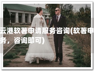 连云港软著申请服务咨询(软著申请服务，咨询即可)