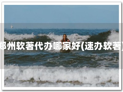 郑州软著代办哪家好(速办软著)